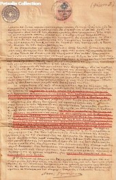 Zampelhs_7_001_388_x_600